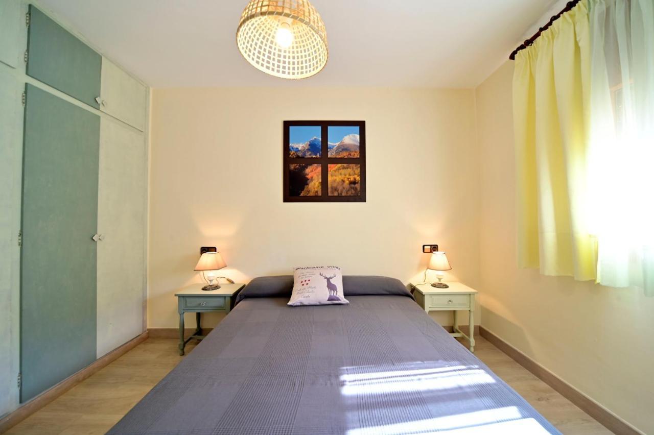 Ferienwohnung Casa Guineu Esterri d'Àneu Exterior foto